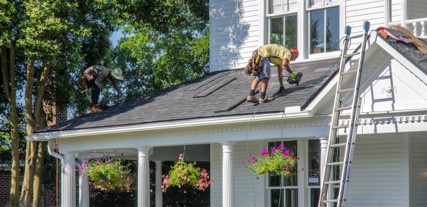 Professional Roofing Contractor in Fruitland, IA